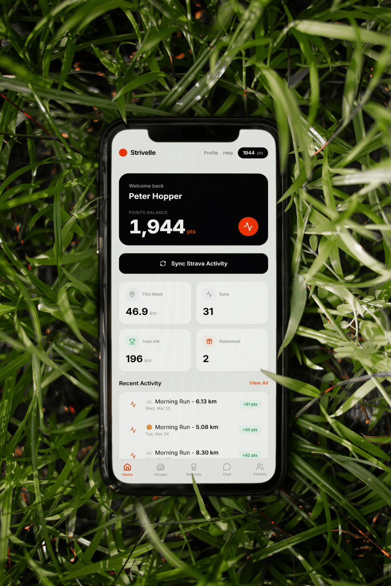 Strivelle Dashboard — redesigned home screen UI